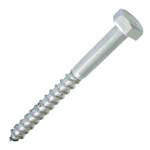 M12x100mm S/S Coachscrews