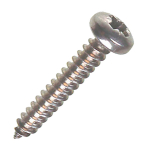 10x2" S/S Pan S/Tap Screws