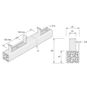 41x41mm Unistrut Concrete Insert Channel - 6m - PG