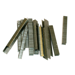Standard Staples - Stainless Steel